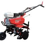 MOTOZAPPA BENASSI BL 6000 H
